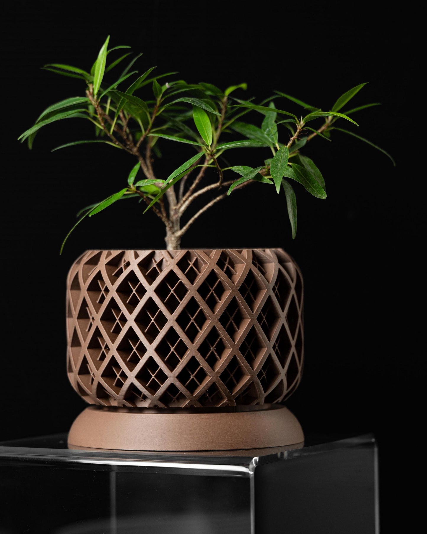 The Torio - Unique Geometric 3D Printed Planter with Drainage