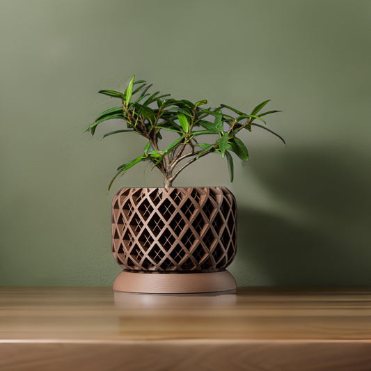 The Torio - Unique Geometric 3D Printed Planter with Drainage