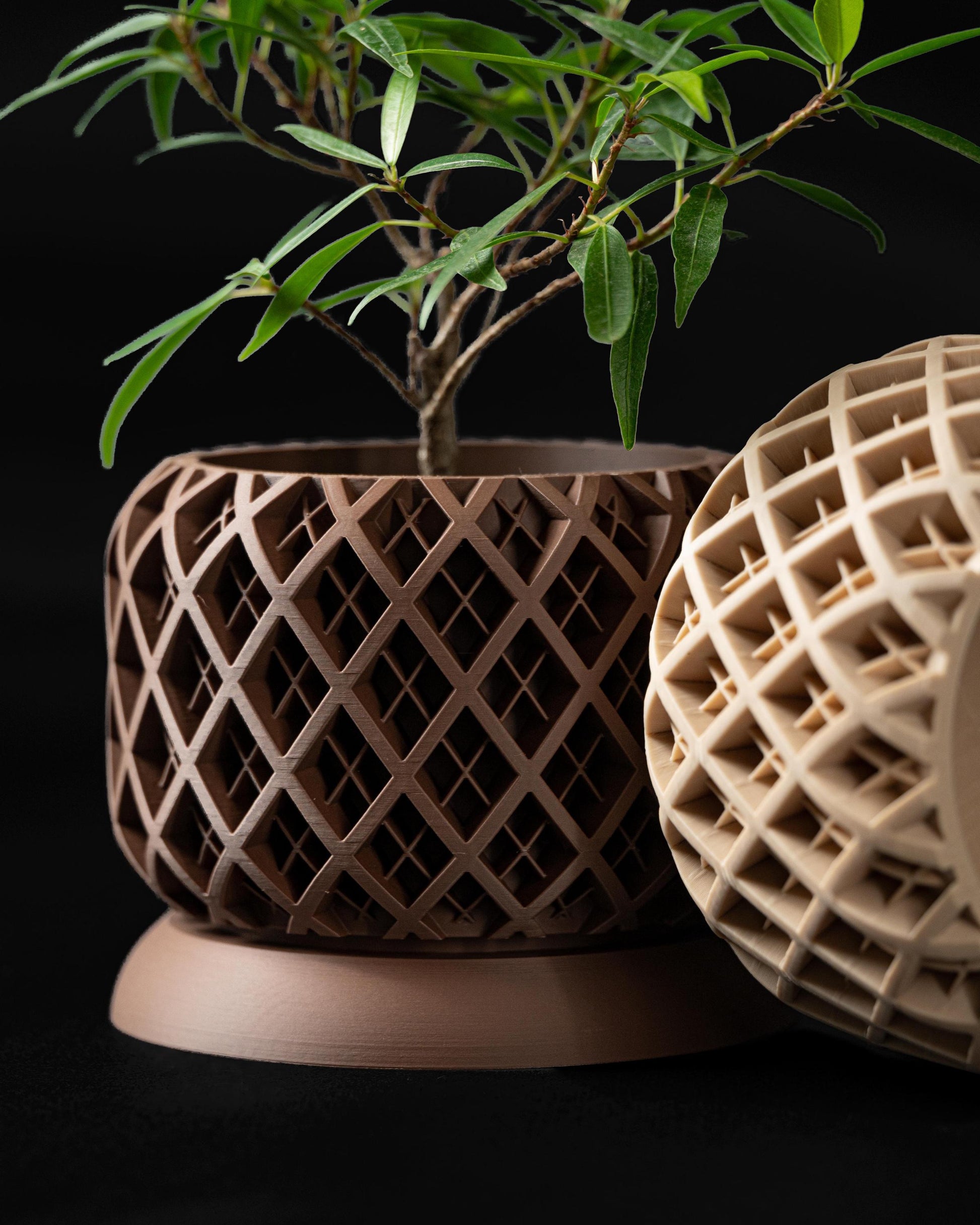 The Torio - Unique Geometric 3D Printed Planter with Drainage