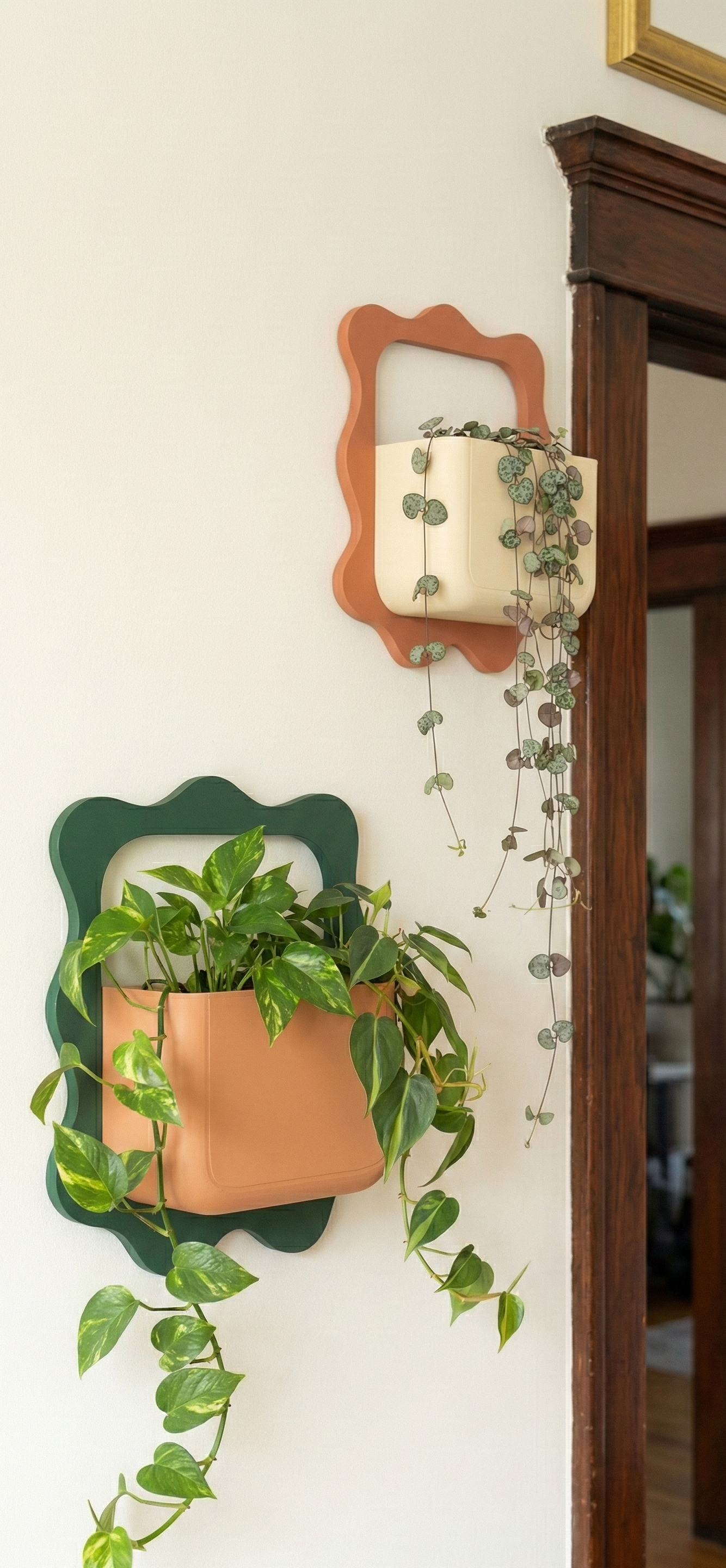 Boho Wall Planter: A Touch of Nature, Elevated