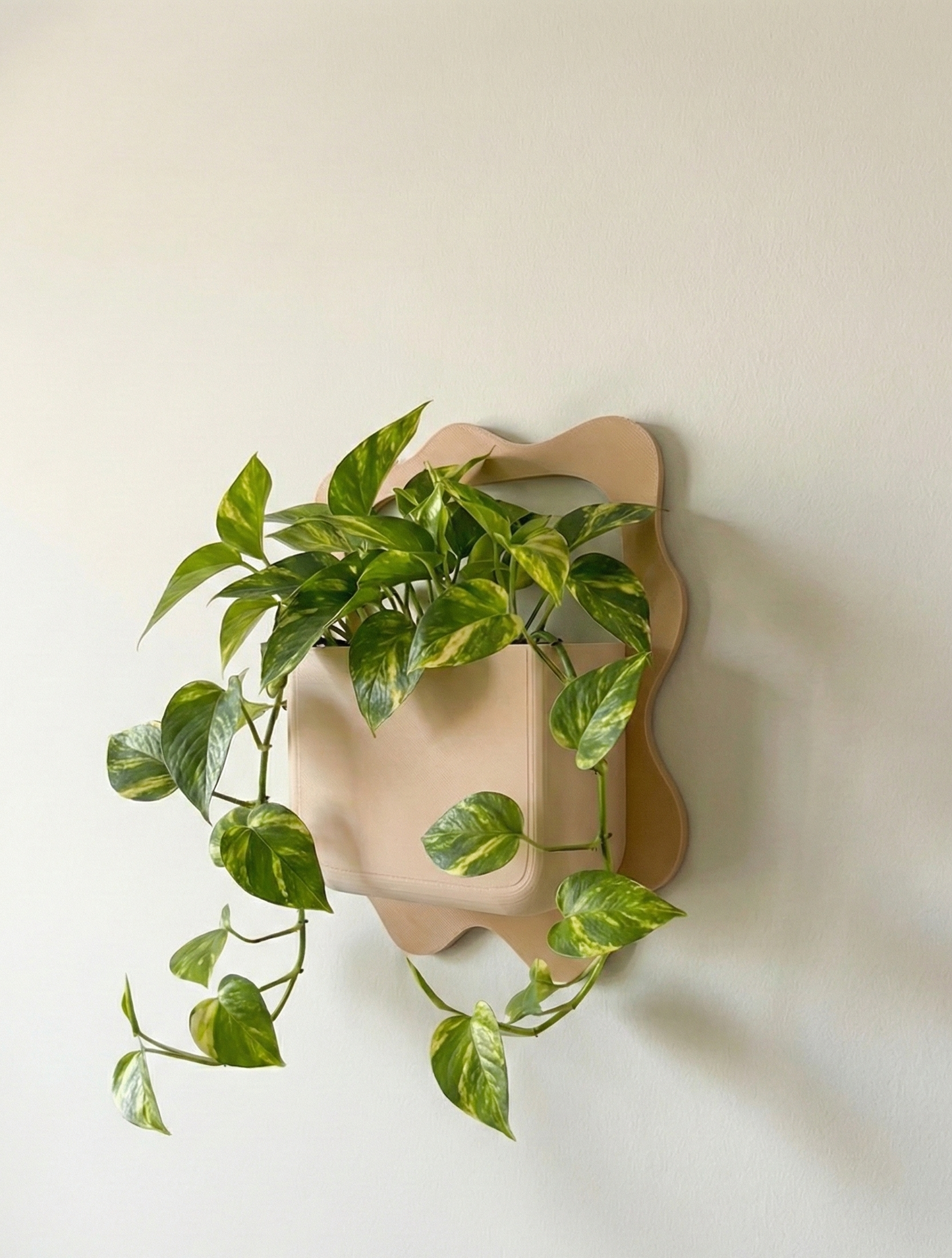 Boho Wall Planter: A Touch of Nature, Elevated