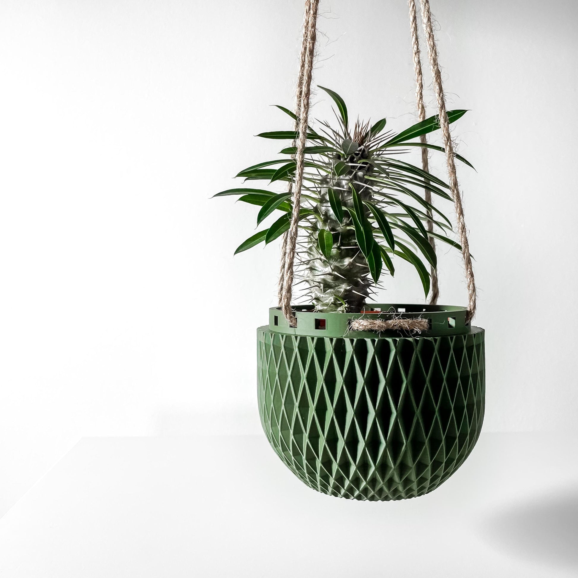 The Dex - The Geometric 3D Printed Hanging Planter